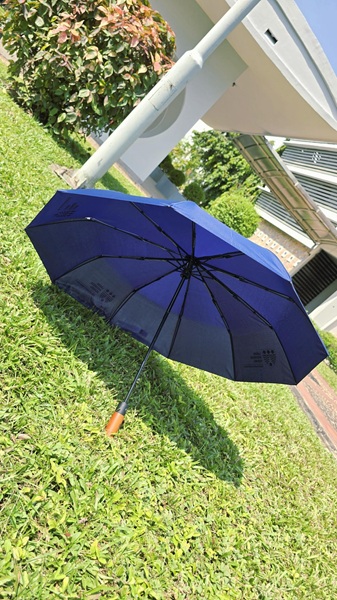 LBS Product Image - LBS Classic Navy Umbrella